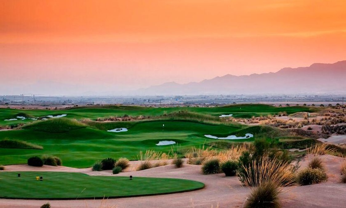 Nowy budynek - villa -
