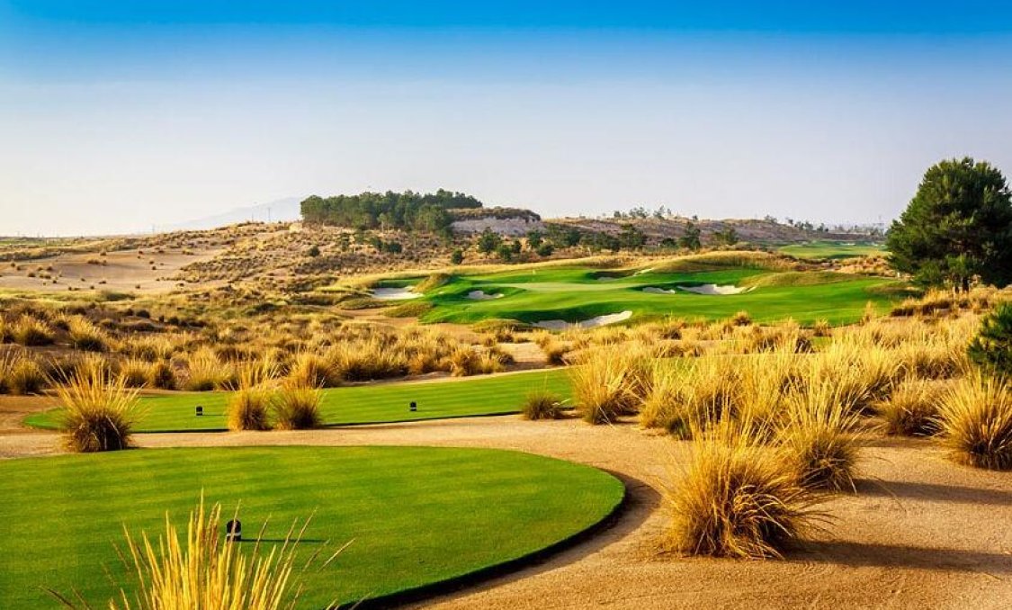 Nowy budynek - villa -
