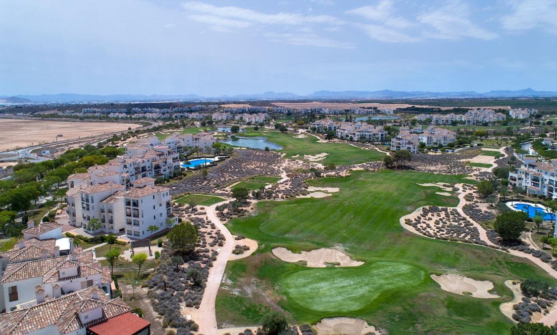 New Build - villa -
Sucina