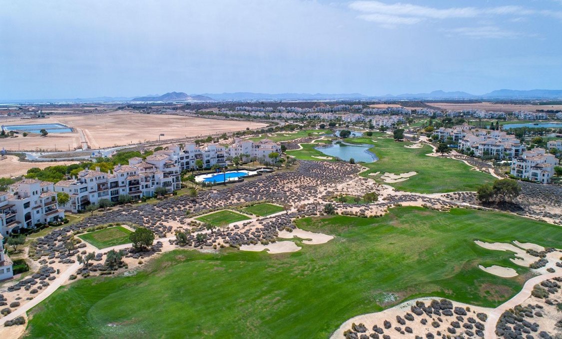 New Build - villa -
Sucina