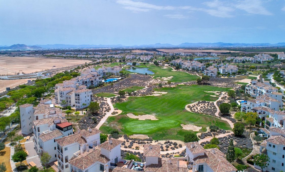 New Build - villa -
Sucina