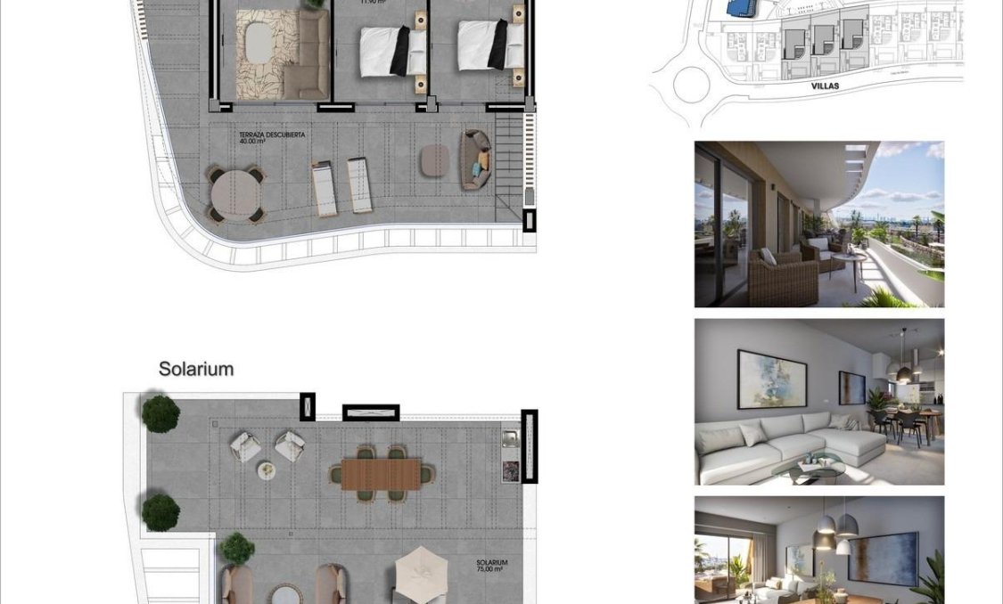 Nowy budynek - Daszek -
