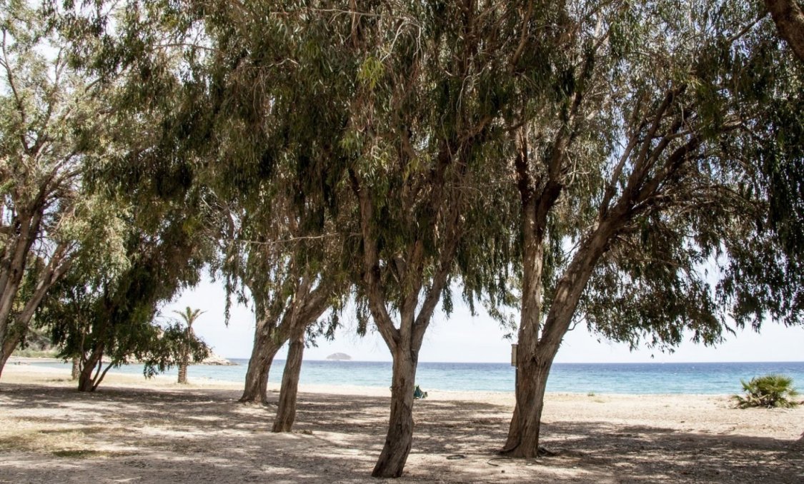 New Build - apartment -
Villajoyosa - Playa Les Torres