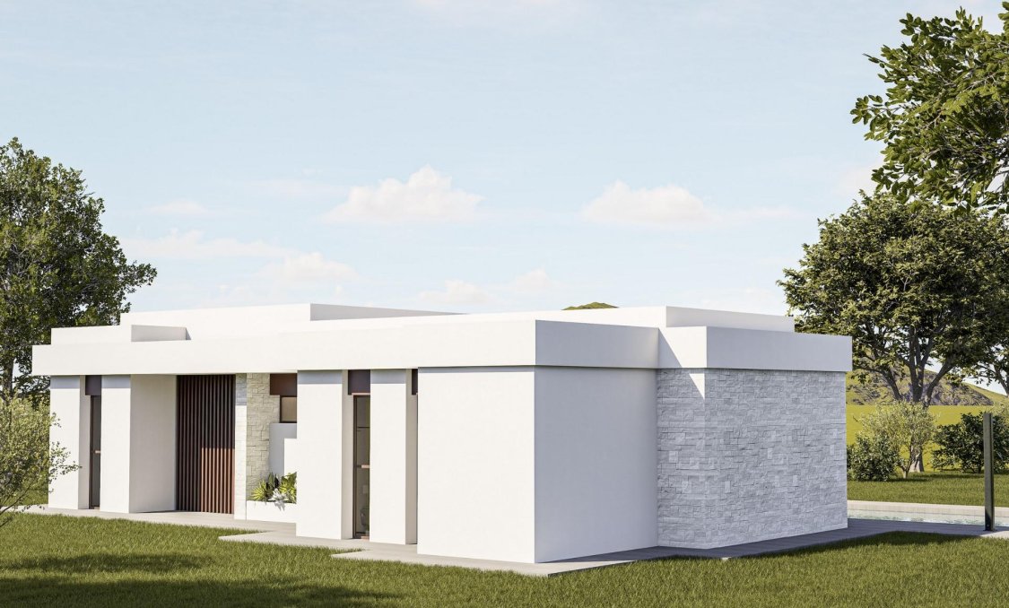 New Build - villa -
Pinoso - Lel