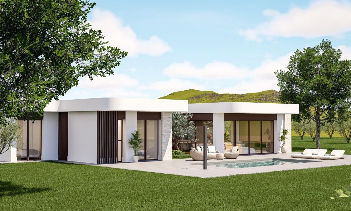 New Build - villa -
Pinoso - Lel