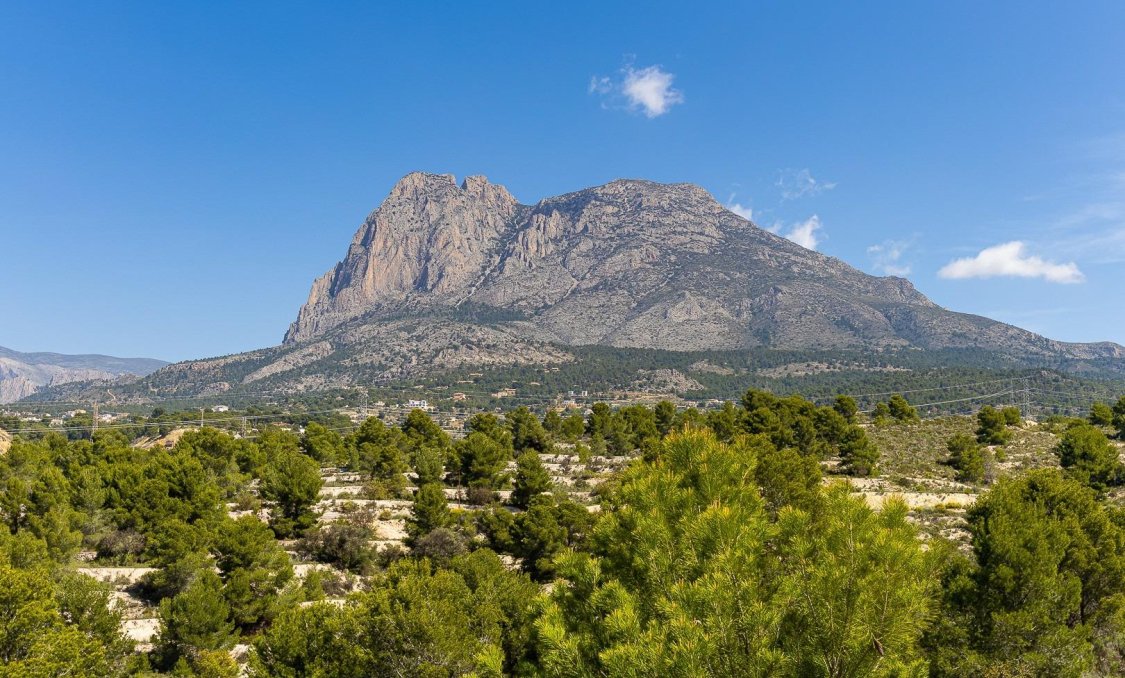 Nowy budynek - villa -
