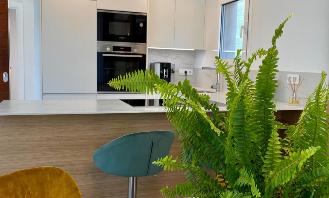 Obra nueva - villa -
