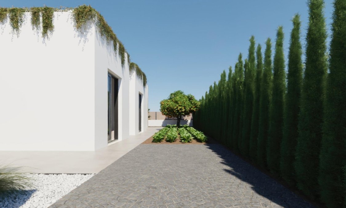 New Build - villa -
Fuente Álamo - Hacienda del Alamo