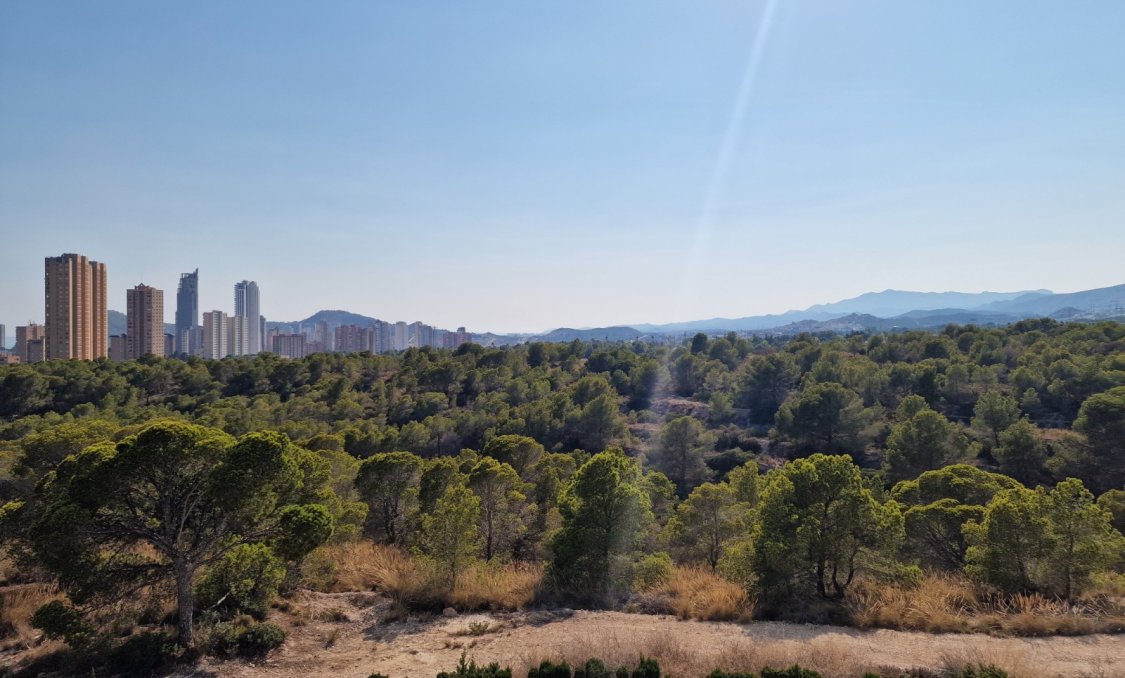Resale - Apartments -
Benidorm - Poniente