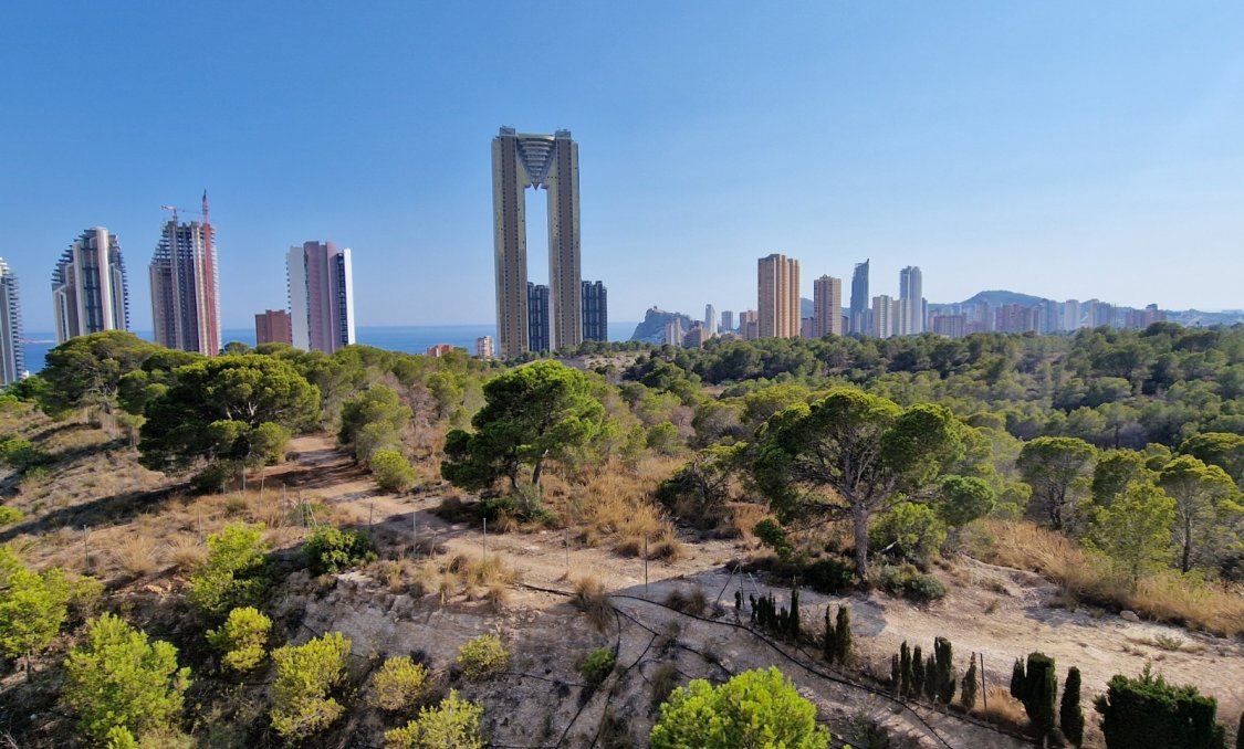Resale - Apartments -
Benidorm - Poniente