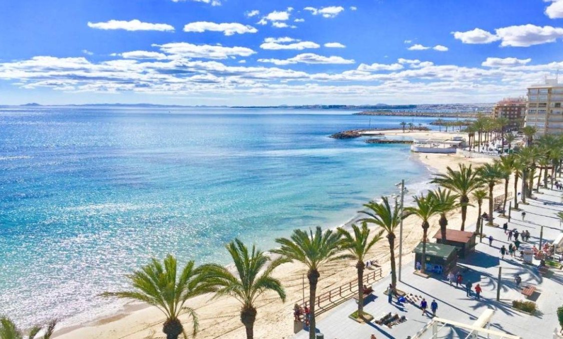 New Build - villa -
Torrevieja - Lago Jardín II