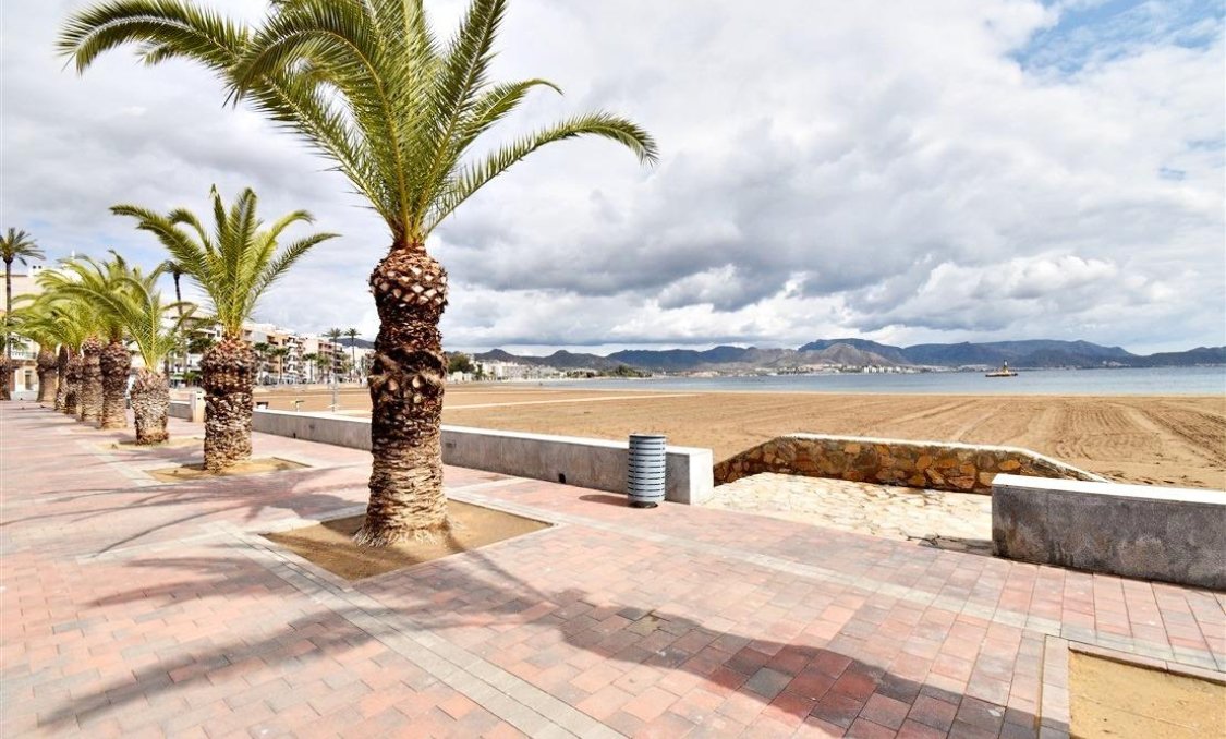 Nowy budynek - Daszek -
Puerto de Mazarron - Playa del Puerto