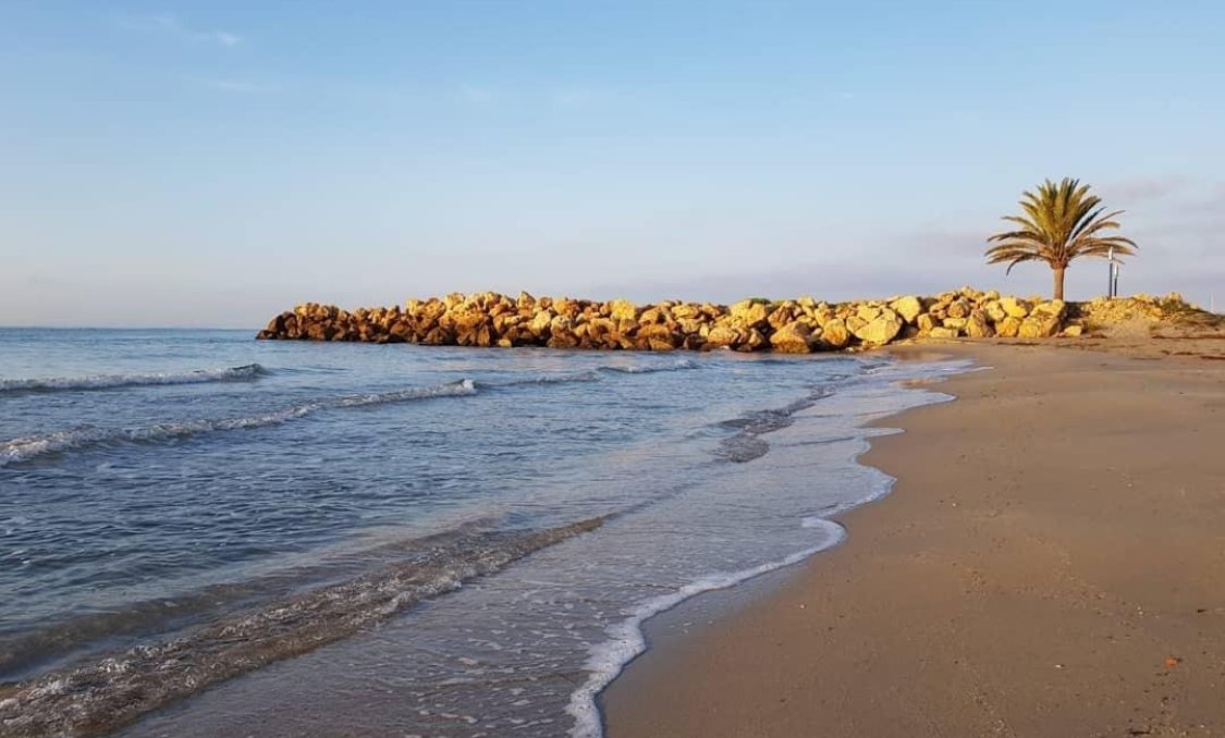 Nowy budynek - apartment -
Santa Pola - Playa Tamarit