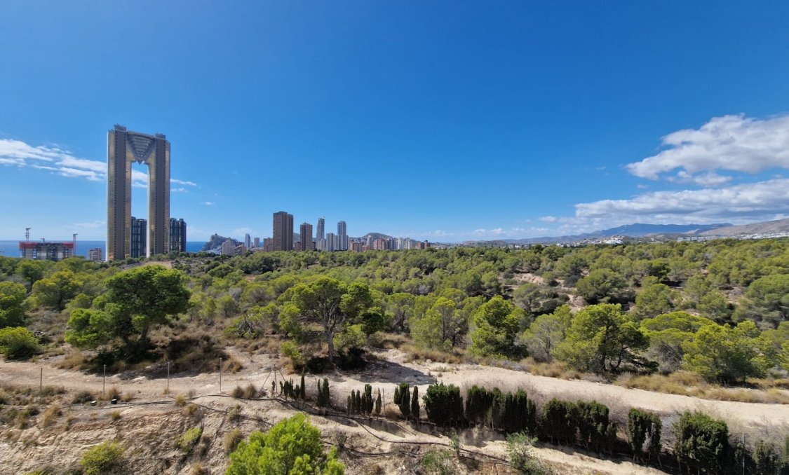 Resale - Apartments -
Benidorm - Poniente