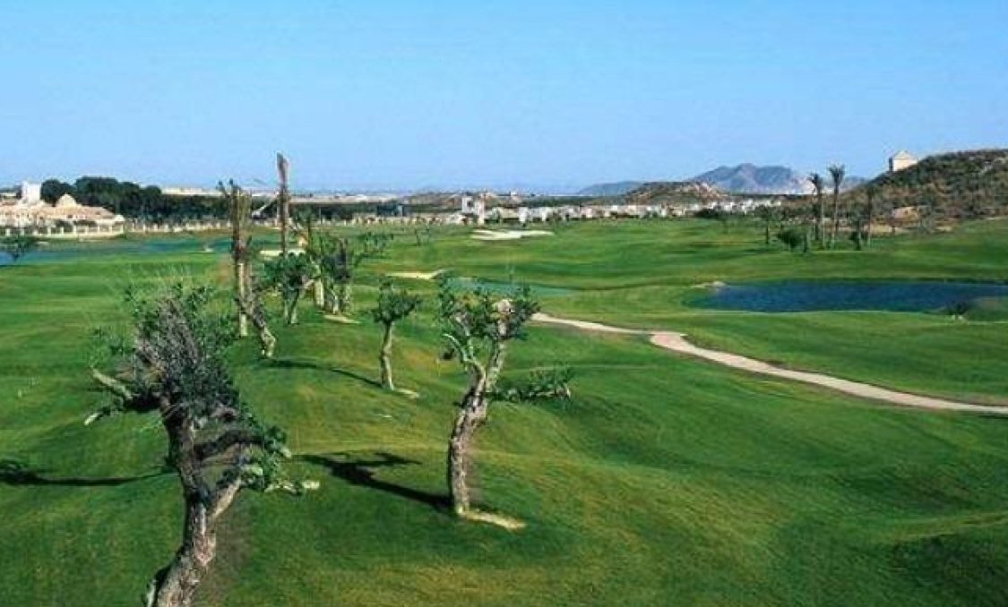 New Build - villa -
Sucina - Peraleja Golf