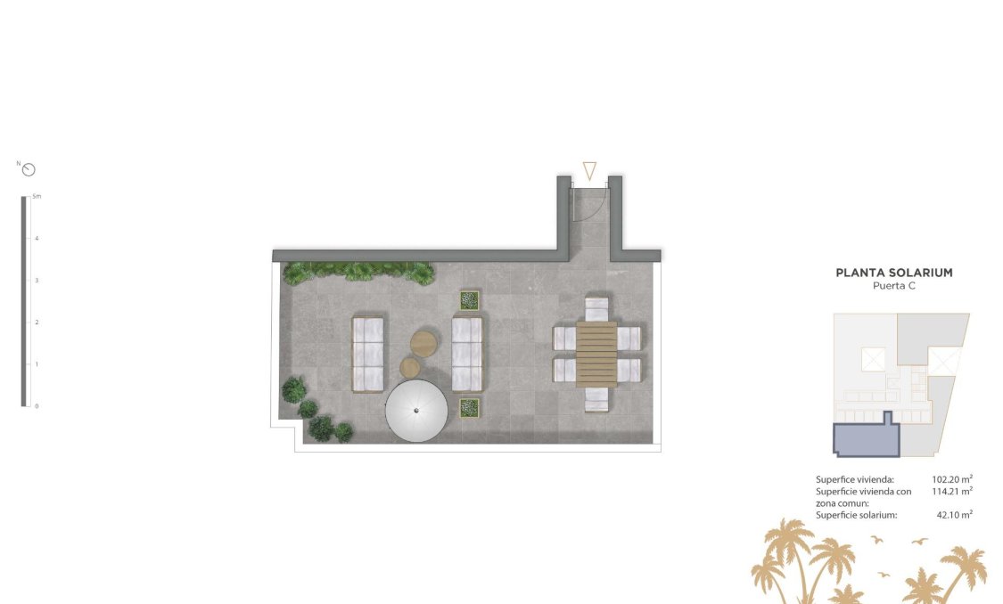 Obra nueva - Ático -
Guardamar del Segura - Pueblo