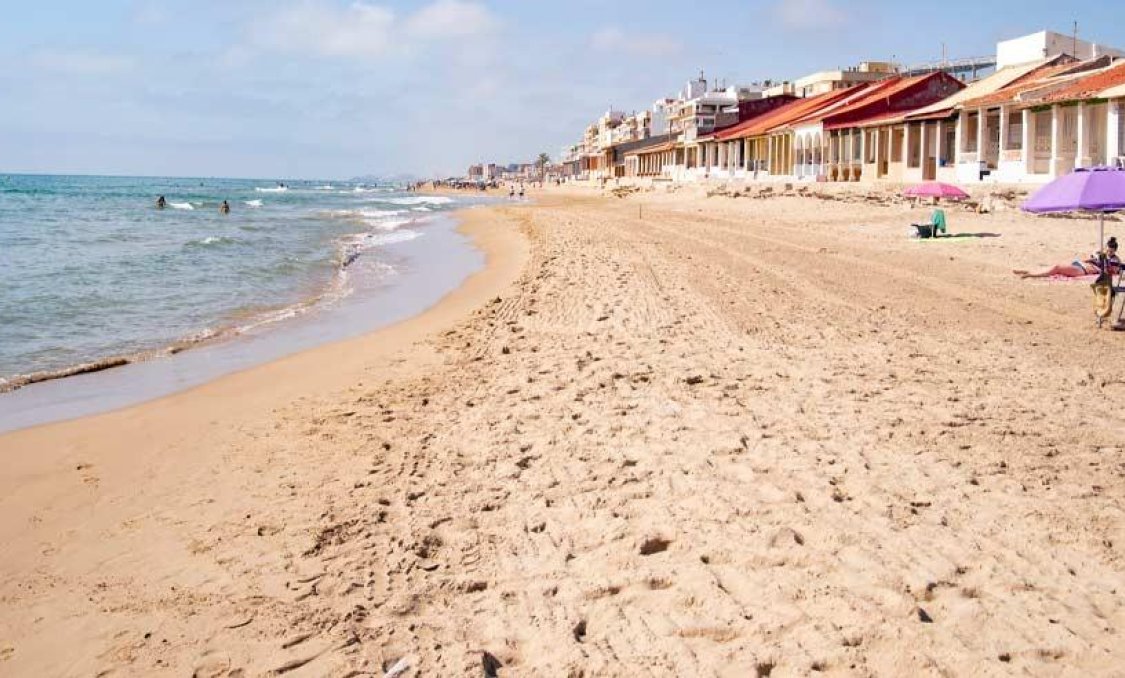 Obra nueva - apartment -
Guardamar del Segura - Pueblo