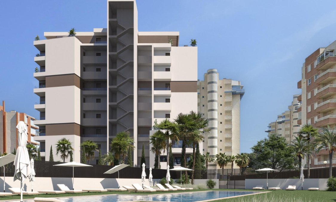 Obra nueva - Ático -
Guardamar del Segura - Puerto