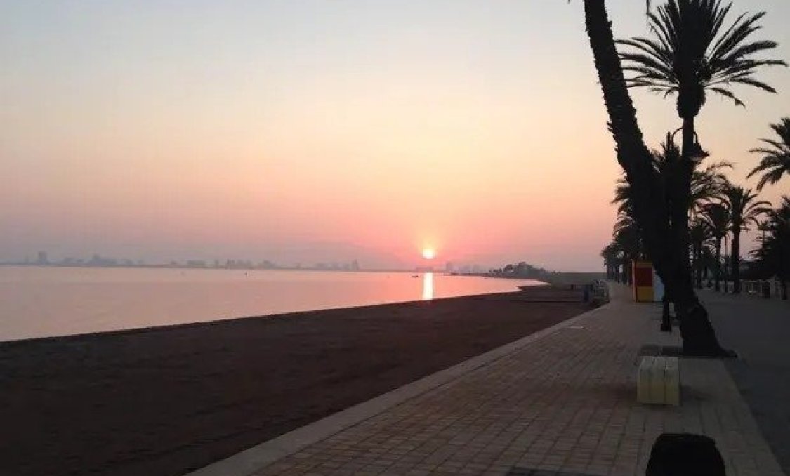 Obra nueva - villa -
