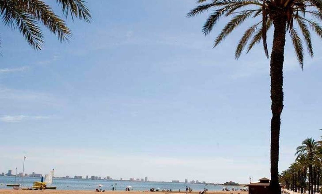 Obra nueva - villa -
