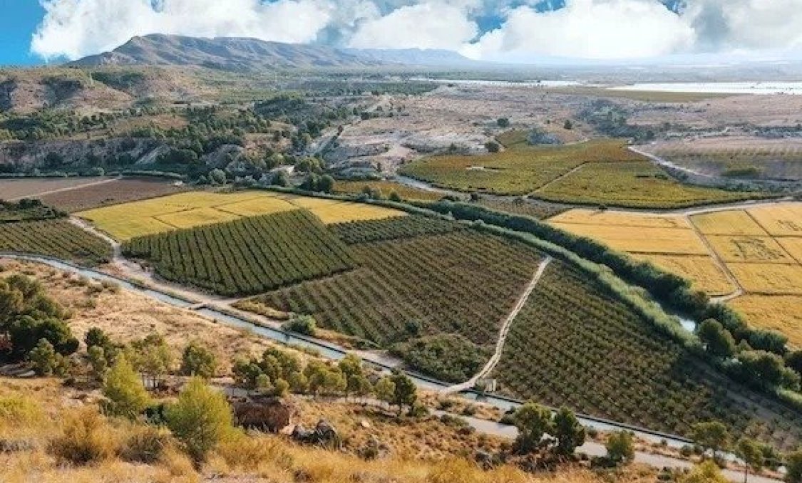 Nowy budynek - villa -
