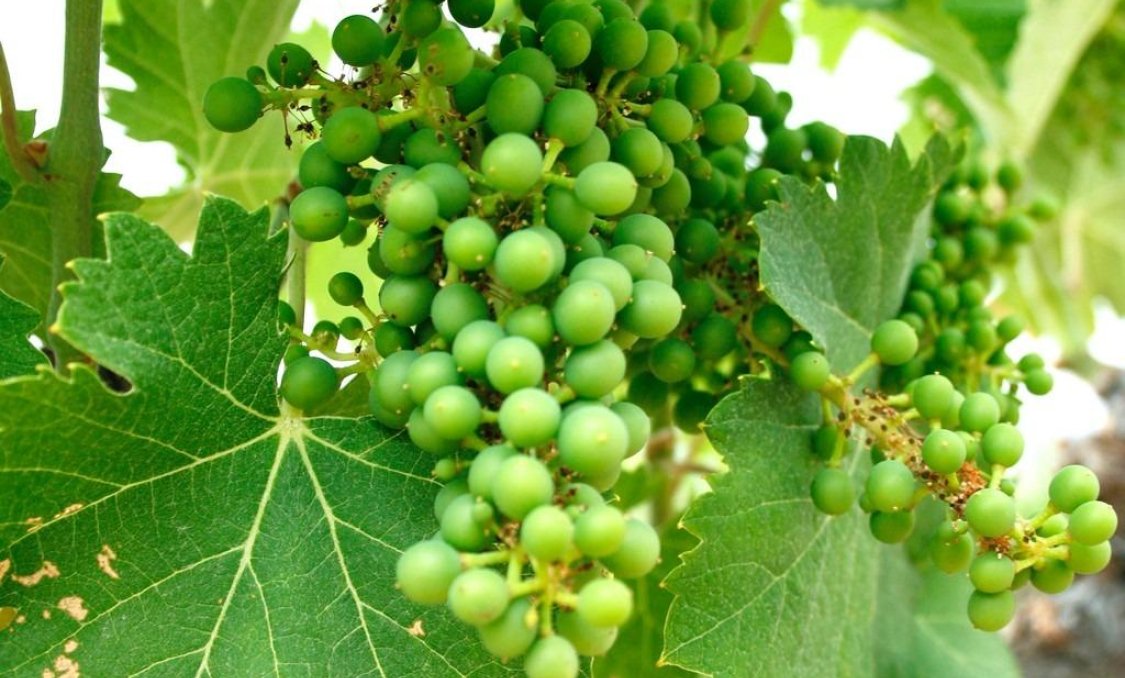 Nowy budynek - villa -
