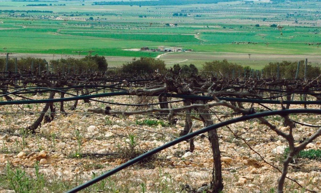 Nowy budynek - villa -
