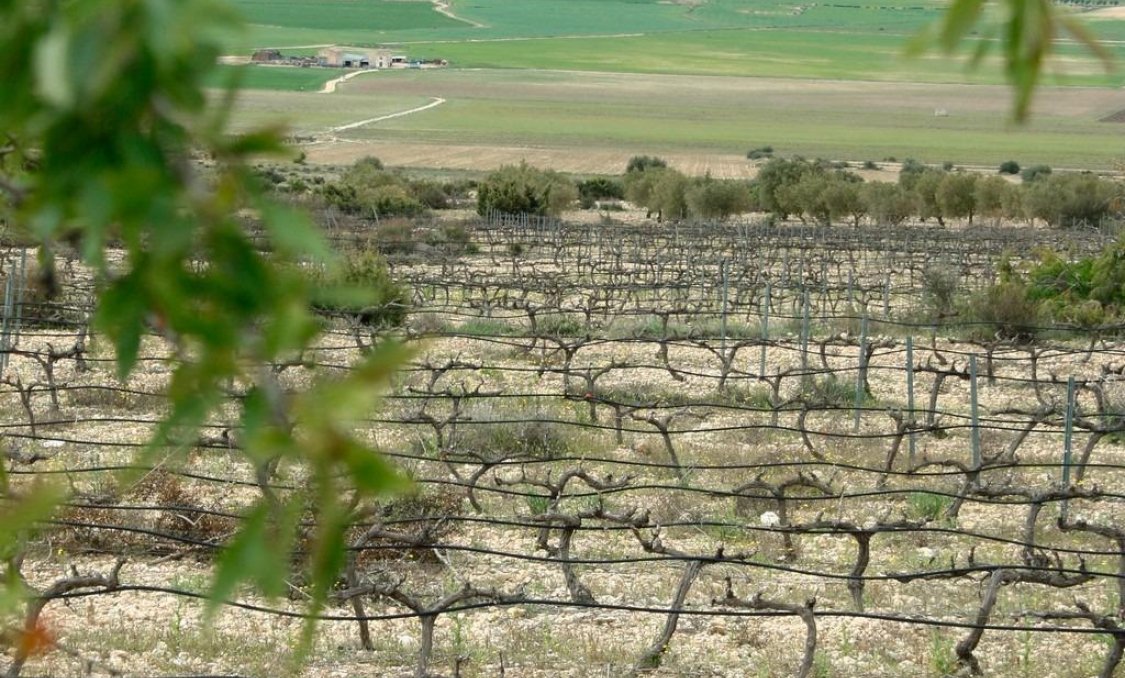 Nowy budynek - villa -
