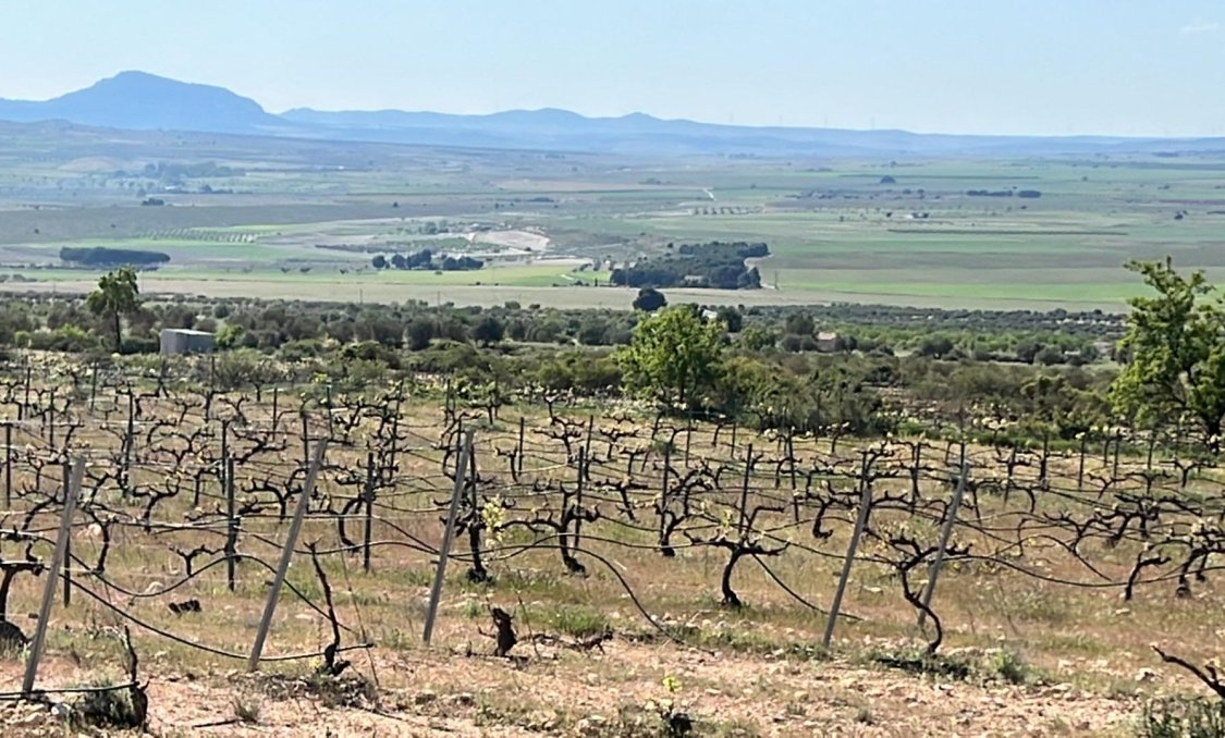 Nowy budynek - villa -
