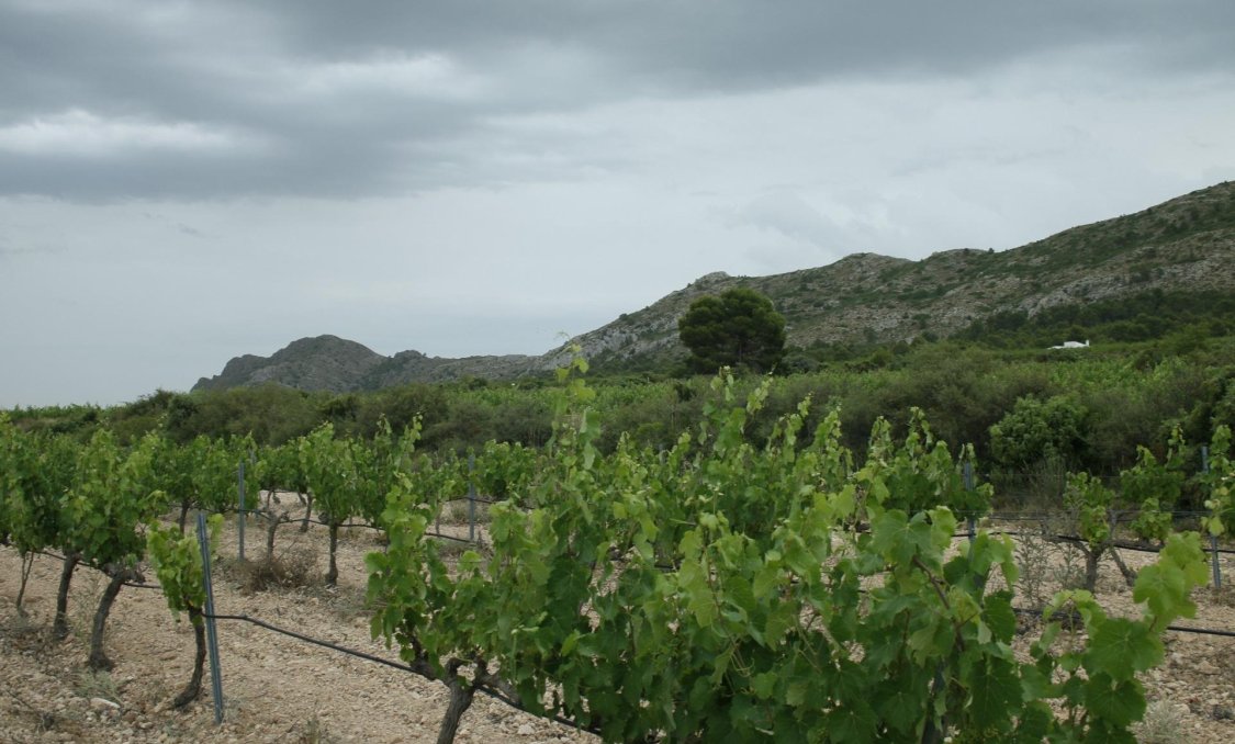 Nowy budynek - villa -
