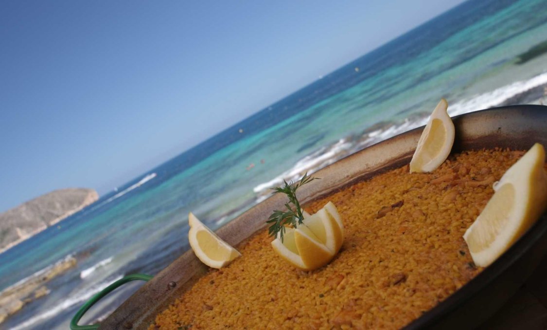 Obra nueva - villa -
