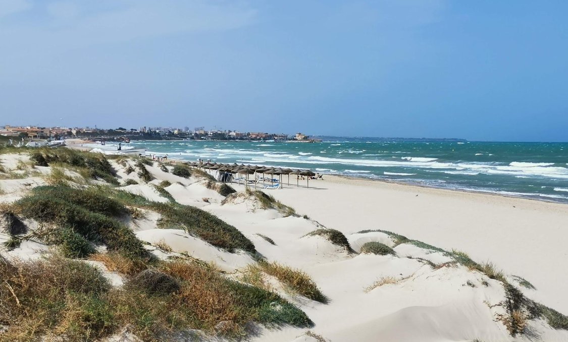 Obra nueva - villa -
