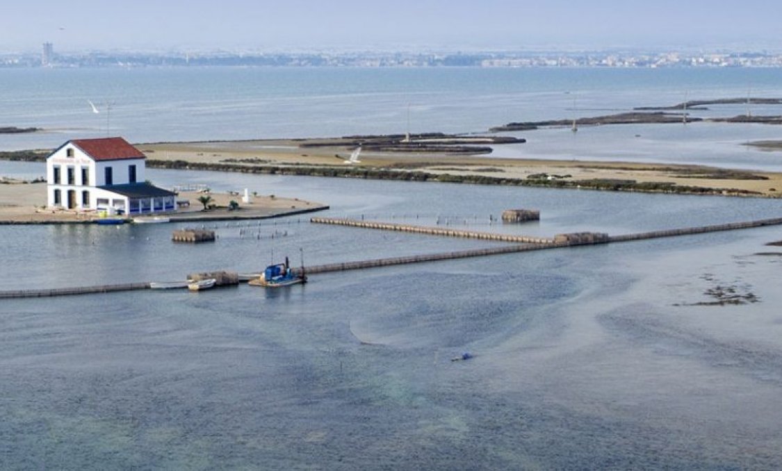 Obra nueva - villa -
