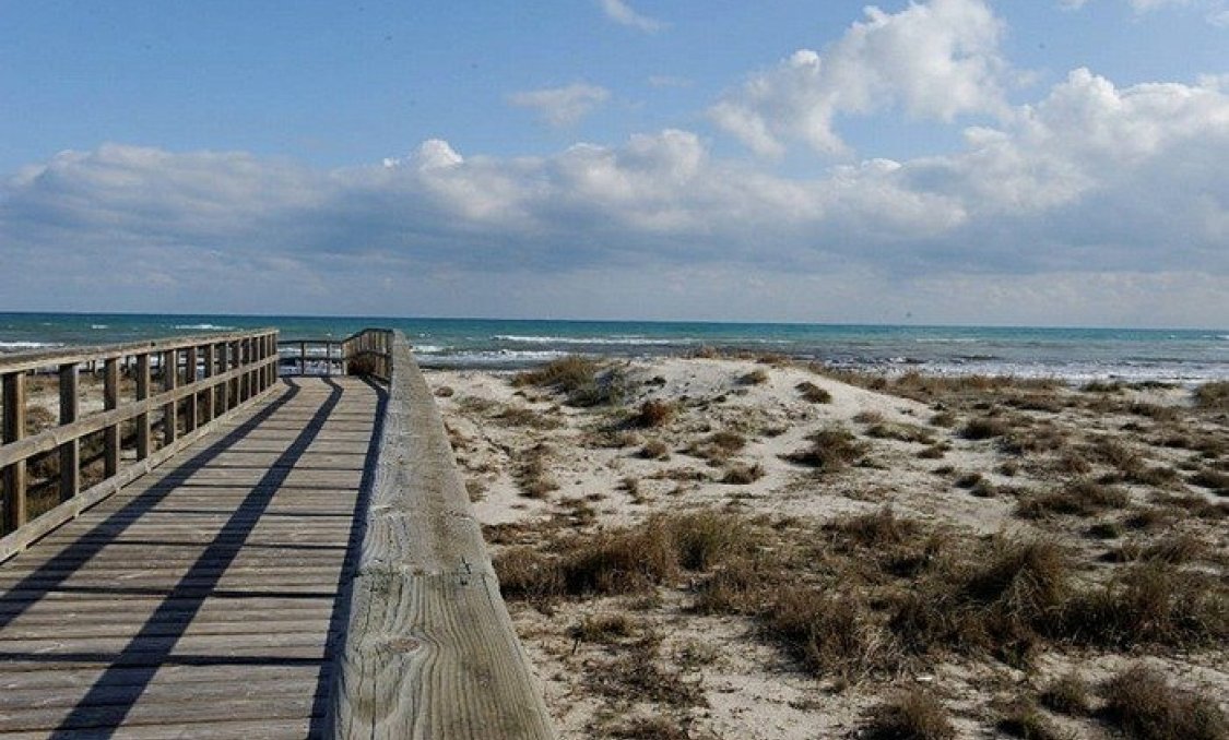 Obra nueva - villa -
