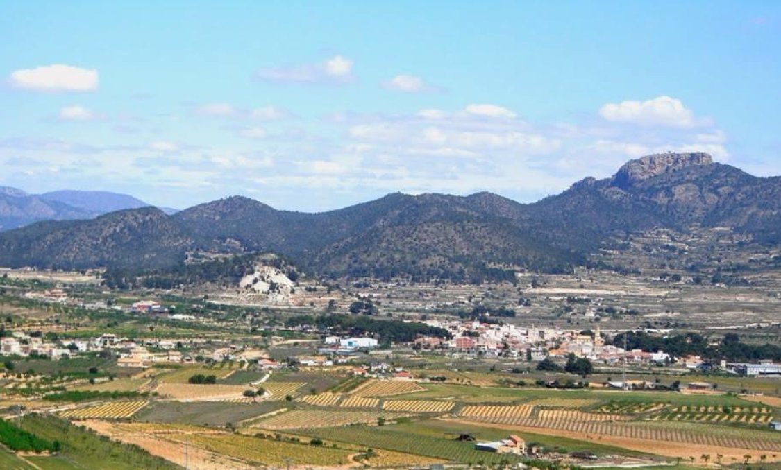 Obra nueva - villa -
