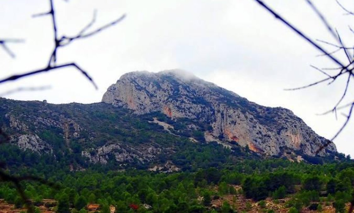 Nowy budynek - villa -
